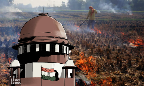 Stubble Burning | Encourage Crops That Dont Leave Behind Stubble : Supreme Court Flags Long-Term Solutions Stubble Burning | Encourage Crops That Dont Leave Behind Stubble : Supreme Court Flags Long-Term Solutions