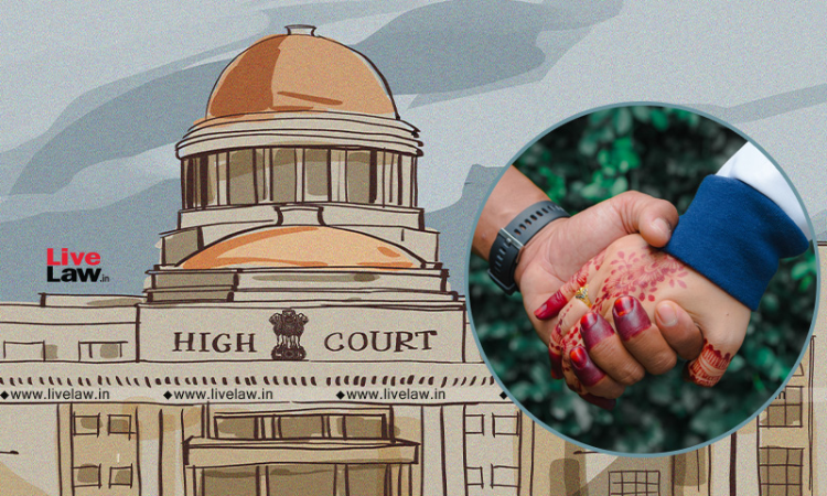 Minor Couples Shouldnt Enter Into Institution Of Marriage; Pained That Children Indulge In Such Relations: Allahabad High Court Minor Couples Shouldnt Enter Into Institution Of Marriage; Pained That Children Indulge In Such Relations: Allahabad High Court