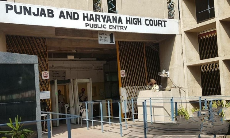 Surge In COVID Cases: Punjab & Haryana High Court To Function Through Virtual Mode Only From January 5 Surge In COVID Cases: Punjab & Haryana High Court To Function Through Virtual Mode Only From January 5