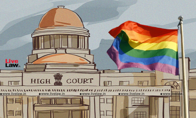 Allahabad HC Directs Name, Gender Change Of A Transgender Person In Educational Records Following UP Education Boards Denial Allahabad HC Directs Name, Gender Change Of A Transgender Person In Educational Records Following UP Education Boards Denial