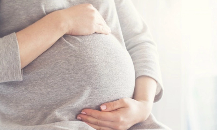 Maternity Leave For Second Child Cant Be Denied For Want Of Two-Year Gap Under UP Financial Handbook: Allahabad High Court Maternity Leave For Second Child Cant Be Denied For Want Of Two-Year Gap Under UP Financial Handbook: Allahabad High Court