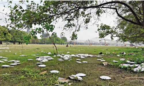 Calcutta High Court Seeks States Response In PIL Seeking Regular Maintenance And Preservation Of Maidan