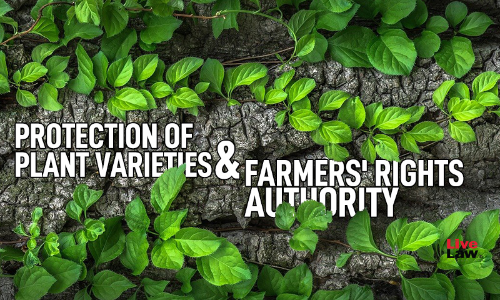 Plant Variety Authority Revokes The Breeders Right: Is This A New Chapter For The Protection Of Plant Varieties And Farmers Rights Act,2001 ?