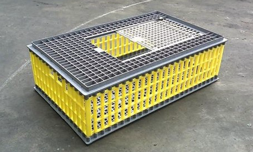 Poultry Crates Attracts 18% GST: AAR Poultry Crates Attracts 18% GST: AAR