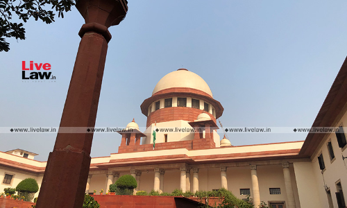 Plea To Declare Sports As Fundamental Right : Petitioner Objects To Amicuss Emphasis On Physical Literacy