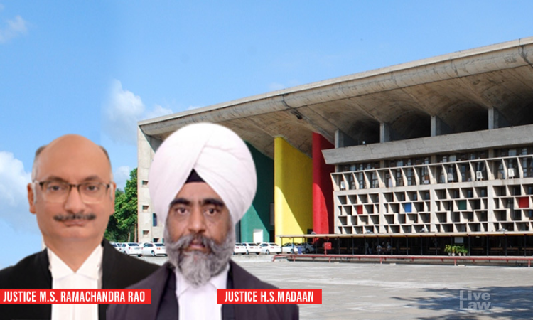 Look Out Circular Must Be Supplied To Person When Stopped At Airport: P&H HC Grants Rs 1 Lakh Compensation To Woman For Losing Foreign Trip Look Out Circular Must Be Supplied To Person When Stopped At Airport: P&H HC Grants Rs 1 Lakh Compensation To Woman For Losing Foreign Trip
