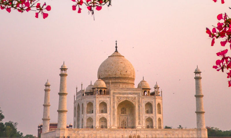 PIL In Delhi High Court Seeks Removal Of ‘Wrong Historical Facts’ On Taj Mahal’s Construction From History Books PIL In Delhi High Court Seeks Removal Of ‘Wrong Historical Facts’ On Taj Mahal’s Construction From History Books