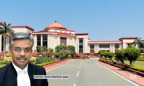 Stray Dog Attack Death : Chhattisgarh High Court Orders ₹6.5 Lakhs Compensation To Father Of 7 Year Old Girl Stray Dog Attack Death : Chhattisgarh High Court Orders ₹6.5 Lakhs Compensation To Father Of 7 Year Old Girl