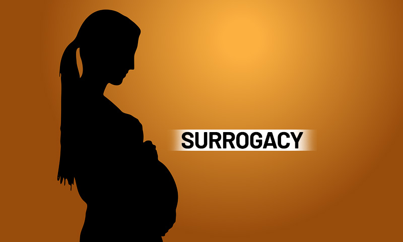 Madras High Court Issues Guidelines For Magistrates Dealing With Custody And Parentage Applications In Surrogacy Cases