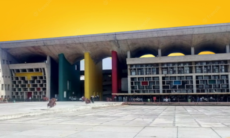 Punjab & Haryana High Court Sets Aside Conviction In Drugs Case, Says Compliance Of Section 50 Of NDPS Act Not Made Punjab & Haryana High Court Sets Aside Conviction In Drugs Case, Says Compliance Of Section 50 Of NDPS Act Not Made