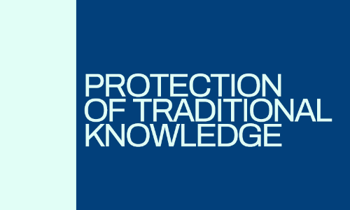 Protection Of Traditional Knowledge Calls For A Serious Action Protection Of Traditional Knowledge Calls For A Serious Action