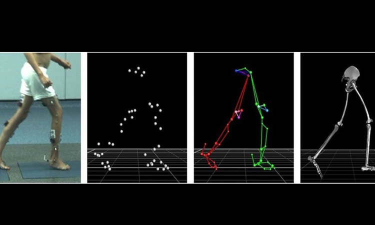 Understanding The Gait Test And Its Impact On Criminal Trials