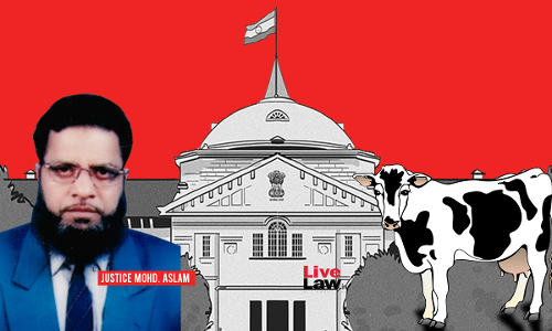 Transportation Of Cow Skin Leather Doesnt Amount To Contravention Of UP Cow Slaughter Act: Allahabad High Court
