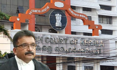 DNA Test | Proof Of Paternity Not Sufficient To Prove Marriage/ Domestic Relationship Between Parties Under DV Act: Kerala High Court DNA Test | Proof Of Paternity Not Sufficient To Prove Marriage/ Domestic Relationship Between Parties Under DV Act: Kerala High Court
