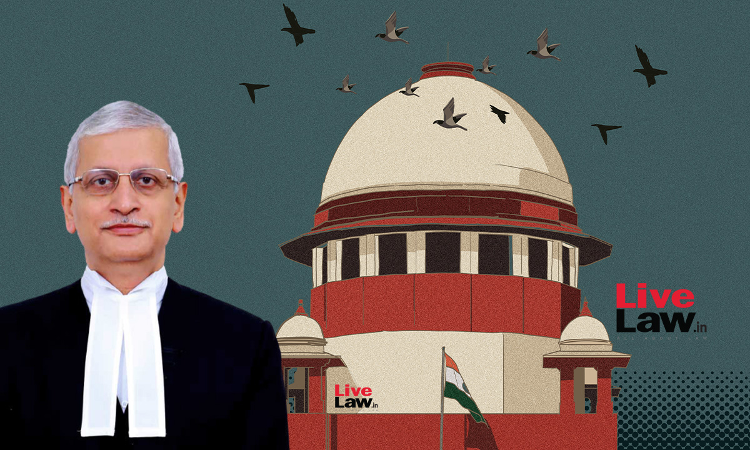 Lawyers Cashing On Judges Sympathy Is Embarrassing: CJI Lalit On Request For Adjournment In A Matter Lawyers Cashing On Judges Sympathy Is Embarrassing: CJI Lalit On Request For Adjournment In A Matter