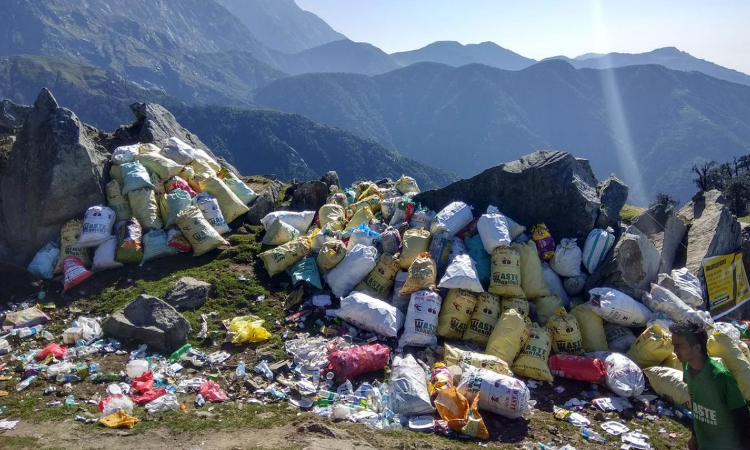 Kerala HC Calls For Forest Officials Report On Measures To Ensure National Parks, Wildlife Sanctuaries And Tiger Reserves Are Plastic-Free Kerala HC Calls For Forest Officials Report On Measures To Ensure National Parks, Wildlife Sanctuaries And Tiger Reserves Are Plastic-Free