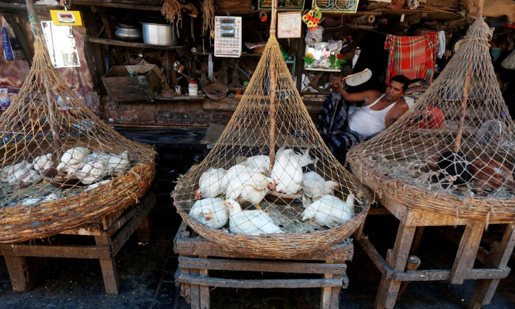 AMC Resolution Doesnt Violate Fundamental Rights: Gujarat HC Dismisses Plea Against Slaughterhouse Closure Due To Jain Festival AMC Resolution Doesnt Violate Fundamental Rights: Gujarat HC Dismisses Plea Against Slaughterhouse Closure Due To Jain Festival