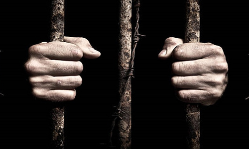 Prisoner Allegedly Called Aide In Pakistan For Drugs But Punjab Govt Remains Inert, Appalling: High Court Seeks Home Secretarys Affidavit