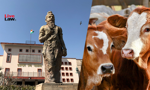 Lumpy Skin Disease: Rajasthan High Court Issues Notice On PIL Seeking Medical Assistance, Proper Isolation Places & Cremation of Cattle Lumpy Skin Disease: Rajasthan High Court Issues Notice On PIL Seeking Medical Assistance, Proper Isolation Places & Cremation of Cattle