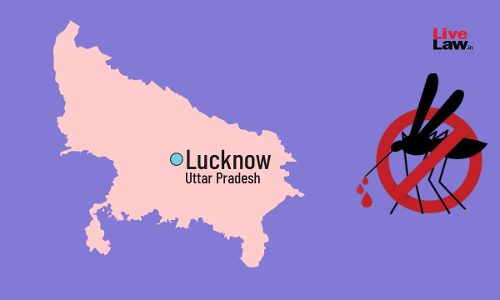 Dengue Outbreak In Lucknow | Allahabad High Court Seeks Details Of Proposed Preventive Measures From UP Govt