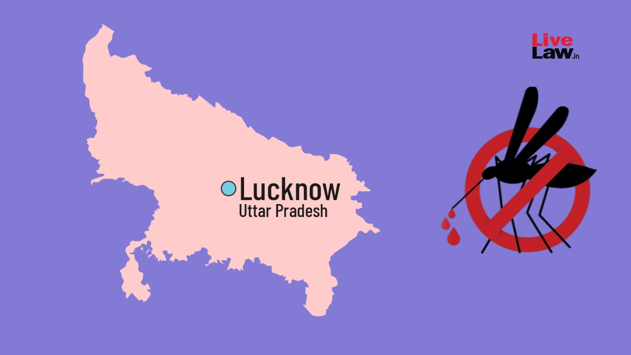 Dengue Outbreak In Lucknow | Allahabad High Court Seeks Details Of Proposed Preventive Measures From UP Govt Dengue Outbreak In Lucknow | Allahabad High Court Seeks Details Of Proposed Preventive Measures From UP Govt