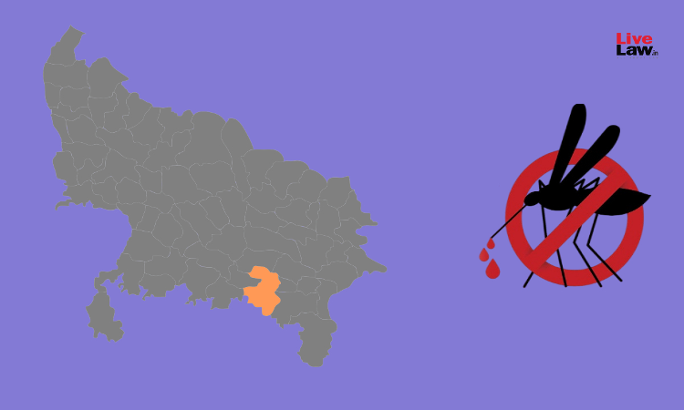 Dengue Outbreak In Prayagraj | Being Dissatisfied With Govt Claims, Allahabad High Court Directs CMO, DM To Appear In Person Dengue Outbreak In Prayagraj | Being Dissatisfied With Govt Claims, Allahabad High Court Directs CMO, DM To Appear In Person