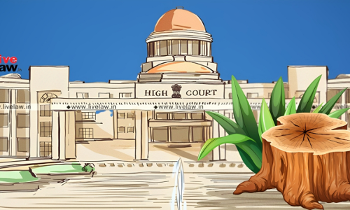 For Every Tree Removed, Ensure Two Are Grown: Allahabad High Court To State Govt