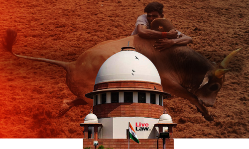 Jallikattu Case : Supreme Court Refuses To Extend Fundamental Rights To Animals