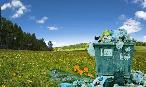 Patience To Put Up With Environmental Violations Has Run Dry: JKL High Court Denies Relief To MSME Unit Shut Over Seizure Of 1350Kg Banned Plastic