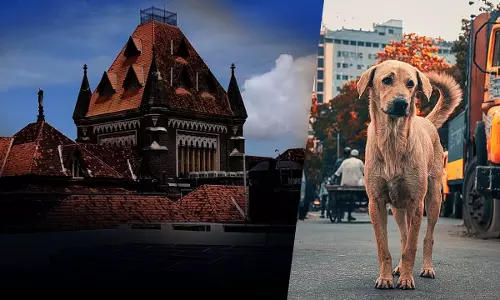 May Be Treated As Child By Owners But Dogs Aren’t Human Beings: Bombay High Court Quashes Rash Driving Case Against Swiggy Delivery Partner