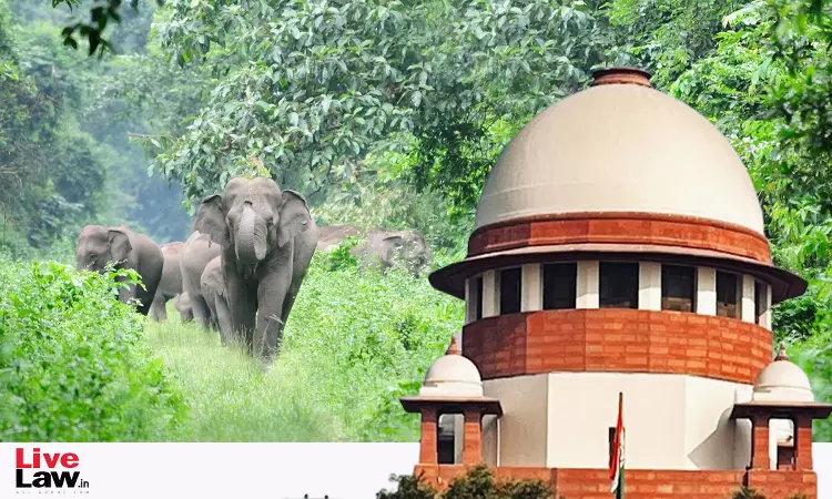 Supreme Court Asks MoEFCC To Respond To Recommendation To Convert Project Elephant Into A Statutory Agency Supreme Court Asks MoEFCC To Respond To Recommendation To Convert Project Elephant Into A Statutory Agency