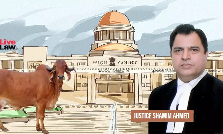 Cow Killers Rot In Hell; Expect Central Govt To Ban Cow Slaughter, Declare It A Protected National Animal: Allahabad HC Cow Killers Rot In Hell; Expect Central Govt To Ban Cow Slaughter, Declare It A Protected National Animal: Allahabad HC