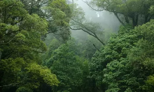 Lawyer Moves Kerala High Court Against Dumping Of Plastic Waste In National Parks, Wildlife Sanctuaries, Tiger Reserves & Forest Areas In State