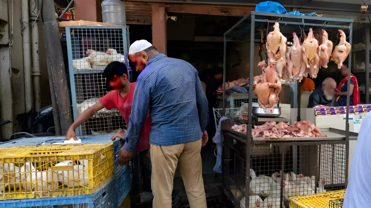 “No Unsafe Food Items To Enter J&K: High Court Orders Crackdown On Rotten Meat & Adulterated Products “No Unsafe Food Items To Enter J&K: High Court Orders Crackdown On Rotten Meat & Adulterated Products