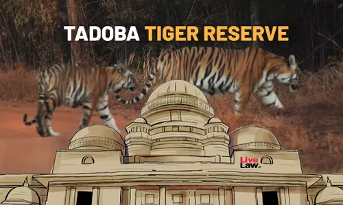 Prima Facie Forest Officials Want Tribal Near Tadoba Tiger Reserve Evicted Without Following Due Process: Bombay High Court