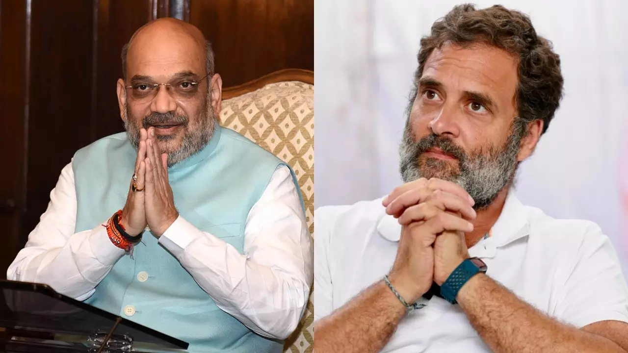 Murder Accused-BJP President Remark: Jharkhand High Court Dismisses Rahul Gandhis Plea To Quash Defamation Suit Filed By BJPs Navin Jha Murder Accused-BJP President Remark: Jharkhand High Court Dismisses Rahul Gandhis Plea To Quash Defamation Suit Filed By BJPs Navin Jha