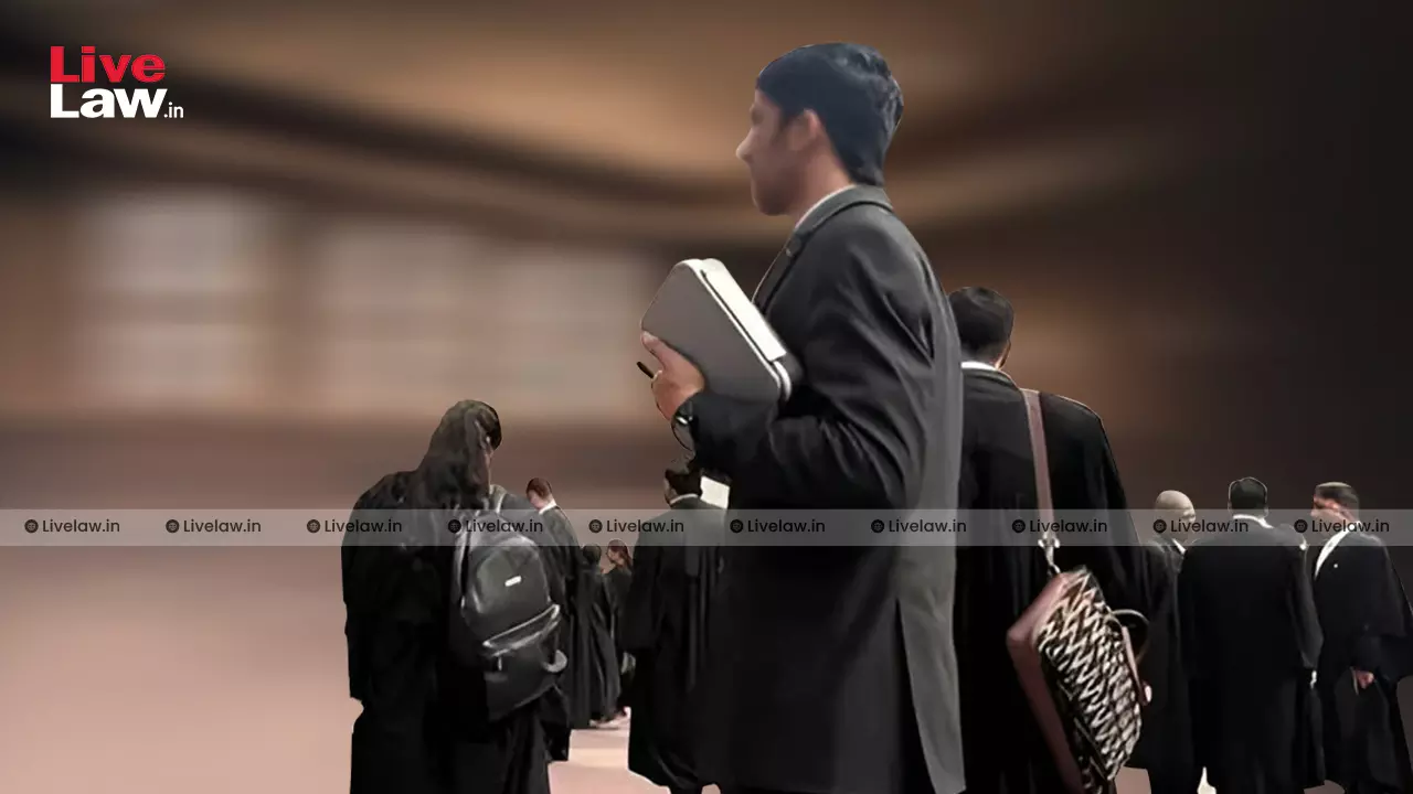 The Restricted Scope Of A Lawyer’s Role The Restricted Scope Of A Lawyer’s Role