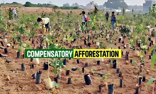 Compensatory Afforestation: Highlights And Challenges