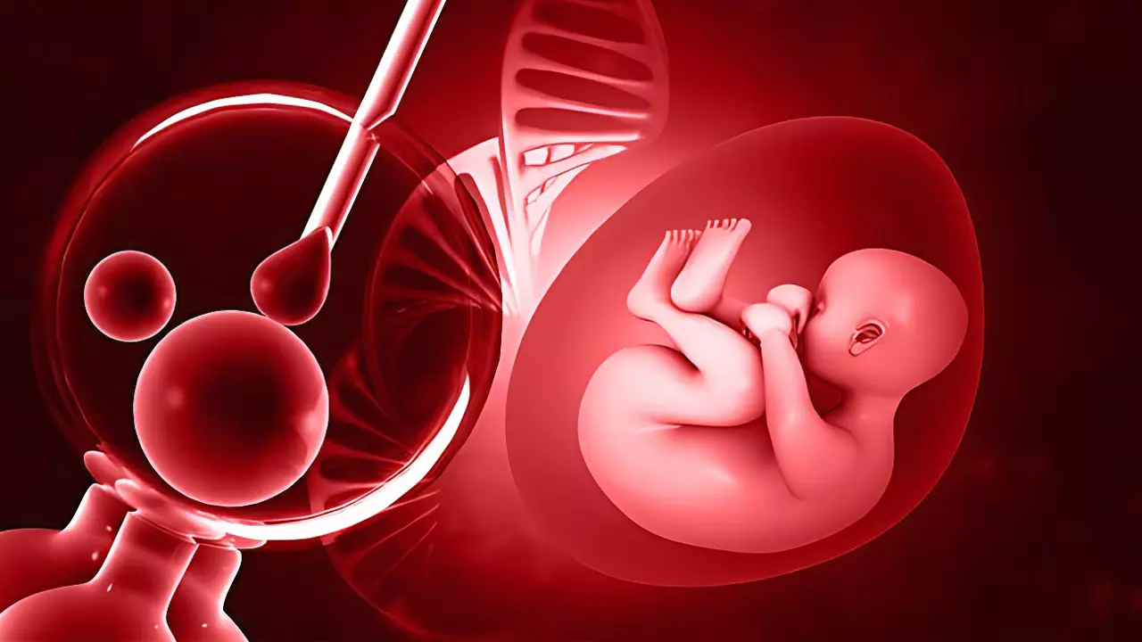 When IVF Goes Wrong: India Needs Better Safeguards Against Embryo Mix-Ups When IVF Goes Wrong: India Needs Better Safeguards Against Embryo Mix-Ups