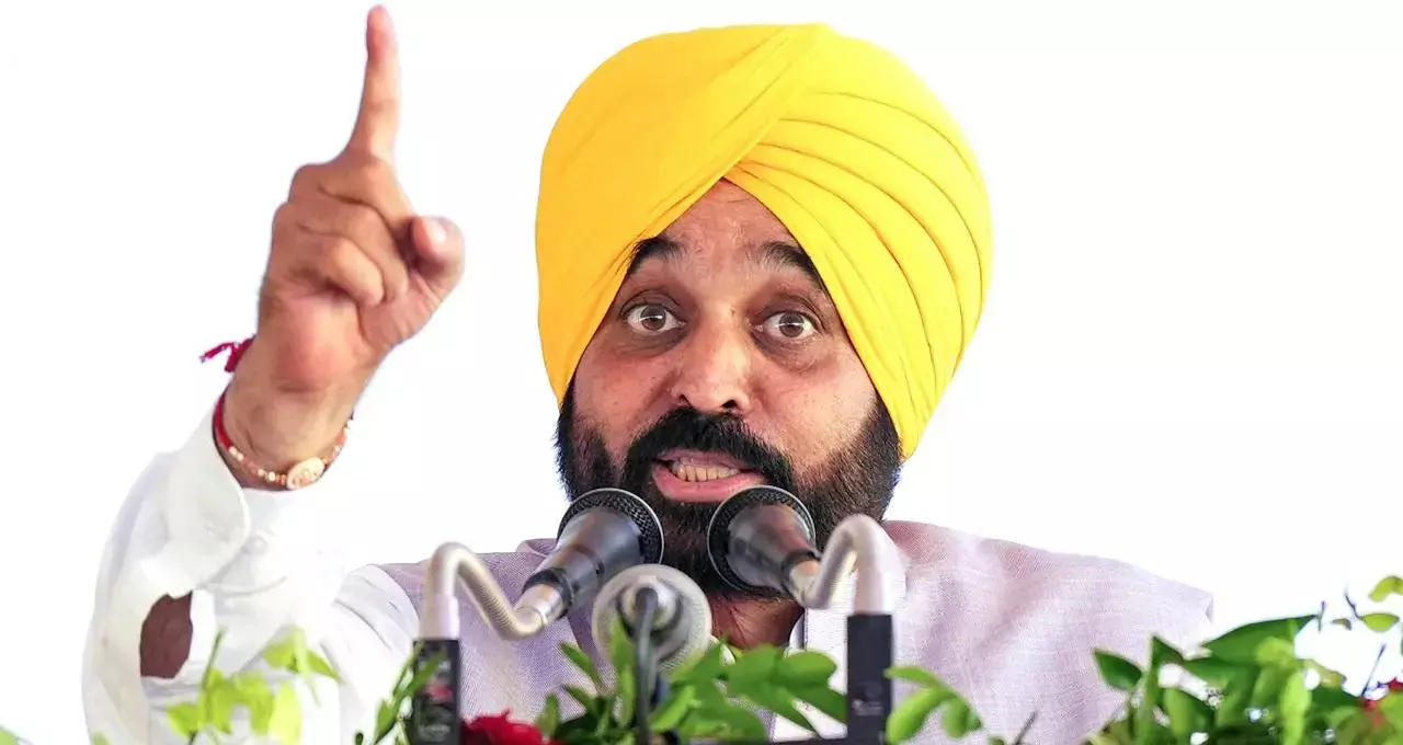 Punjab CM Bhagwant Mann Gets Interim Exemption From Personal Appearance In Defamation Case Filed By Former AAP MLA
