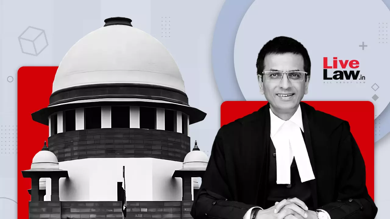 Dont Want This To Be A Tareekh Pe Tareekh Court: CJI DY Chandrachud Urges Lawyers To Not Seek Unnecessary Adjournments