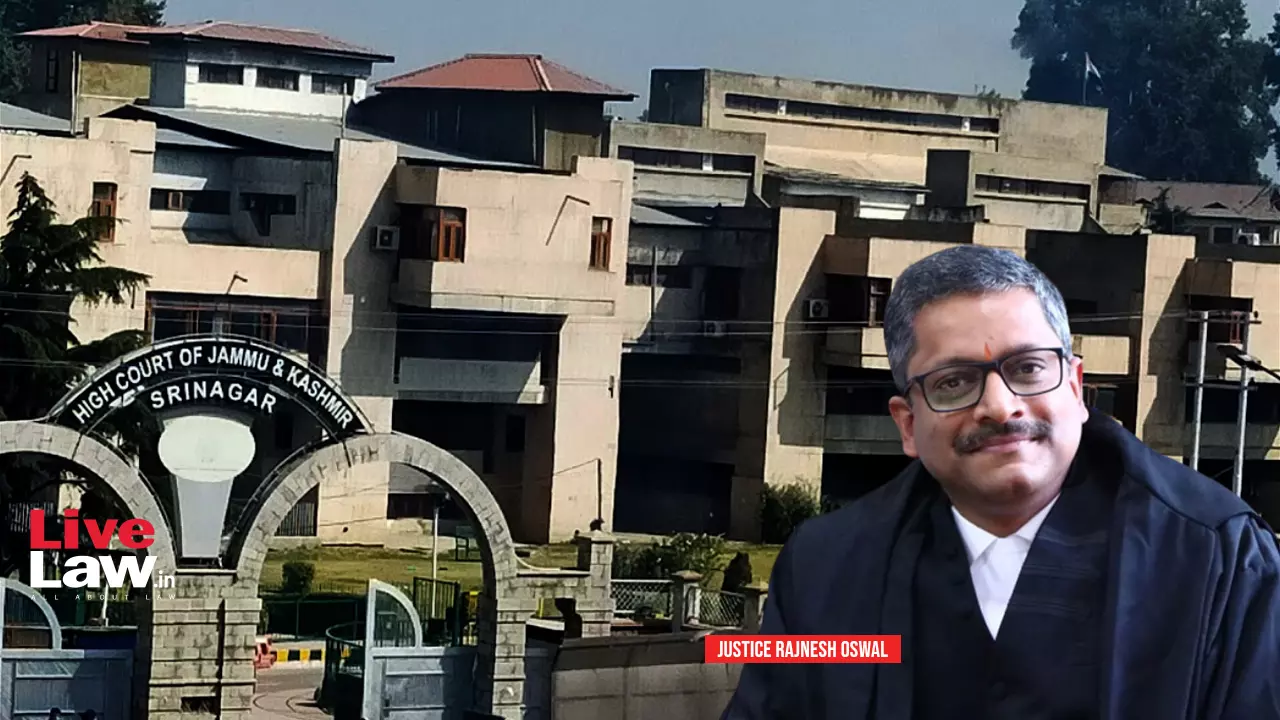 Daily Diary Reports Must Contain Details Of Specific Activities That Necessitated Preventive Detention: J&K High Court