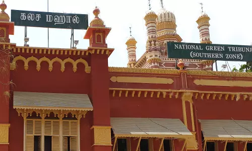 Tamil Nadu Buckingham Canal Oil Spill: NGT Forms High Level Committee, Directs To Take Necessary Measures Tamil Nadu Buckingham Canal Oil Spill: NGT Forms High Level Committee, Directs To Take Necessary Measures
