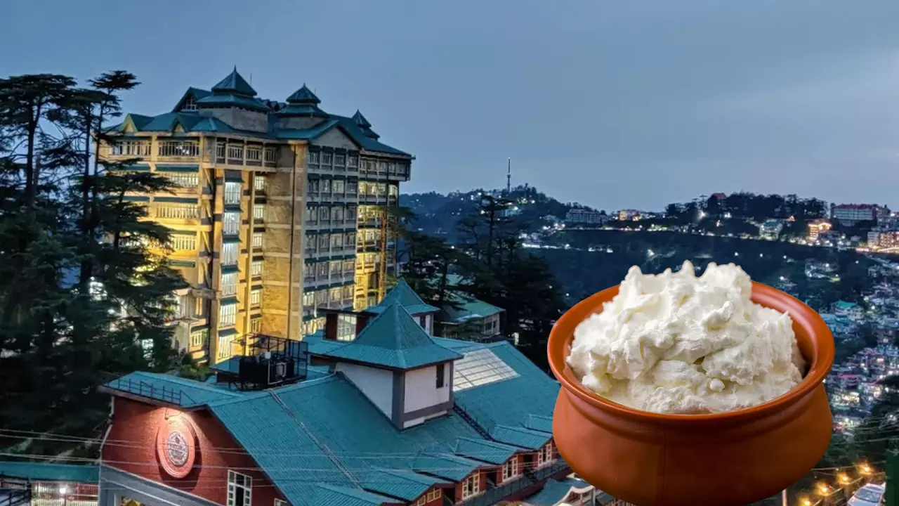 ‘Milk Cream’ Can’t Be Classified As ‘Milk’: Himachal Pradesh High Court Upholds Tax Demand ‘Milk Cream’ Can’t Be Classified As ‘Milk’: Himachal Pradesh High Court Upholds Tax Demand