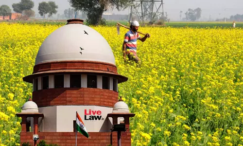 GM Mustard Case | Centre Seeks Withdrawal Of Undertaking Given To Supreme Court Against Commercial Release Of Genetically Modified Mustard GM Mustard Case | Centre Seeks Withdrawal Of Undertaking Given To Supreme Court Against Commercial Release Of Genetically Modified Mustard