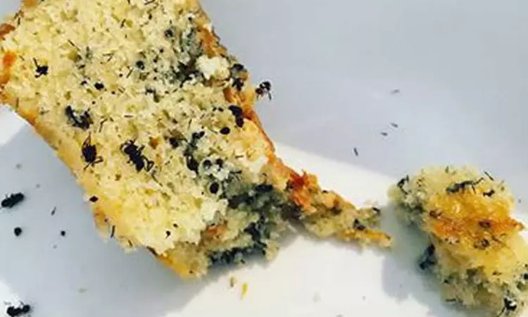 Ant Found In Cake, Failure To Issue Receipt, Ludhiana Commission Orders Nova Bakery To Pay Rs. 20k Compensation Ant Found In Cake, Failure To Issue Receipt, Ludhiana Commission Orders Nova Bakery To Pay Rs. 20k Compensation