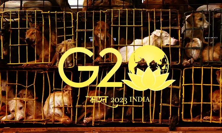 Stray Dogs Captured For Preparation Of G20 Summit Being Released As Per Law: MCD To Delhi High Court