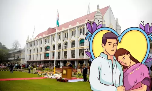 Maintenance | Salary Payslips Constitute Cogent Evidence To Determine Income Status Of Parties: MP High Court