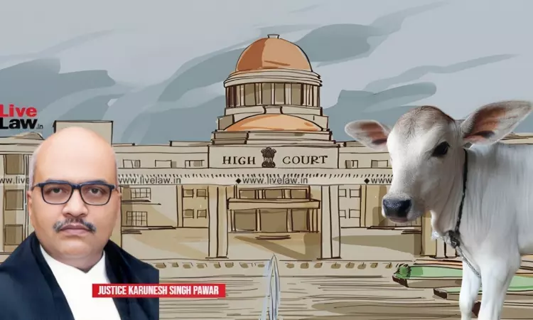 Deposit ₹25K With UP Gau Sewa Ayog: Allahabad HC Imposes Bail Condition On 4 Men Allegedly Arrested With 70KG Cow Beef Deposit ₹25K With UP Gau Sewa Ayog: Allahabad HC Imposes Bail Condition On 4 Men Allegedly Arrested With 70KG Cow Beef