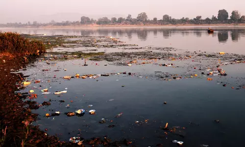 MP High Court Issues Notice On PIL Alleging Discharge Of Untreated Sewage Into Narmada River At Jabalpur, High Levels Of Bacteria MP High Court Issues Notice On PIL Alleging Discharge Of Untreated Sewage Into Narmada River At Jabalpur, High Levels Of Bacteria
